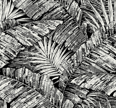 product image of Palm Cove Toile Wallpaper in White & Black 576