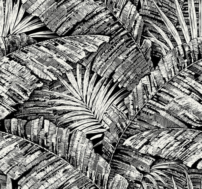 media image for Palm Cove Toile Wallpaper in White & Black 257