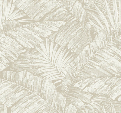 product image of Palm Cove Toile Wallpaper in White & Taupe 564