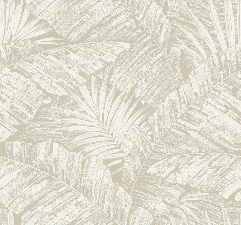 media image for Palm Cove Toile Wallpaper in White & Taupe 20