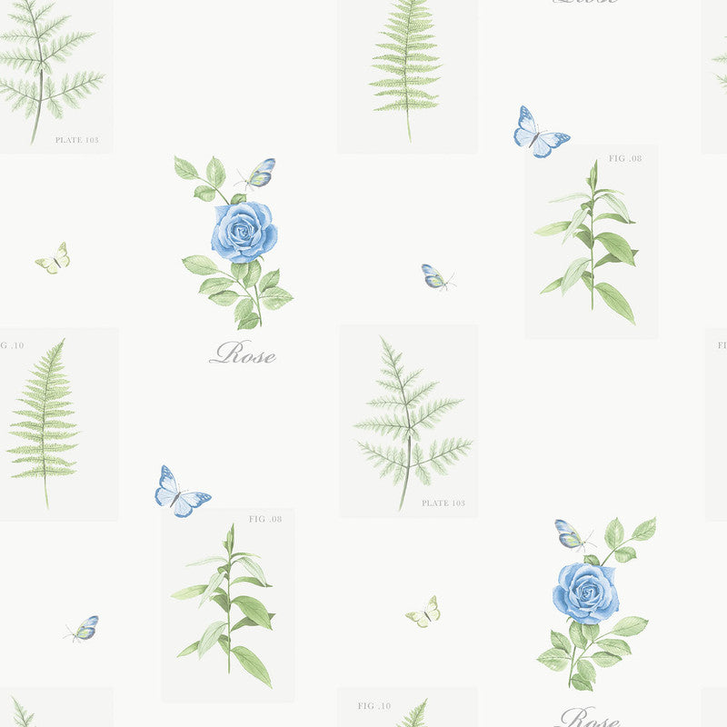 media image for Rose Botanical Motif Wallpaper in Blue 212
