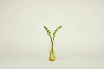 product image for Aurora Vase in Various Sizes & Colors 14