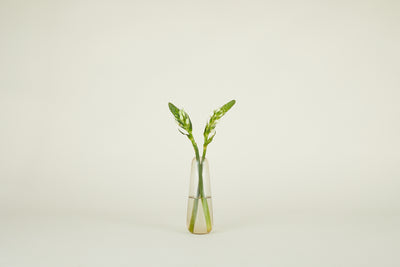 product image for Aurora Vase in Various Sizes & Colors 55