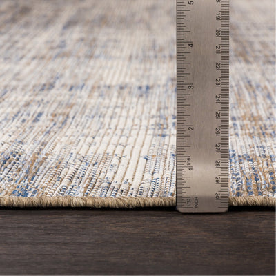 product image for Santa Cruz STZ-6013 Rug in Sky Blue & Taupe by Surya 4
