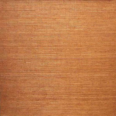 product image for Sisal Wallpaper in Caramel Brown from the Winds of the Asian Pacific Collection by Burke Decor 54