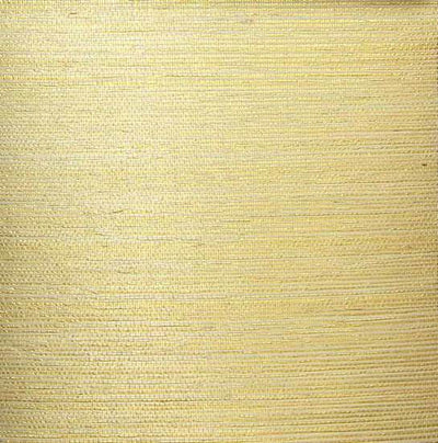 product image of sample sisal wallpaper in ivory and gold from the winds of the asian pacific collection by burke decor 1 595