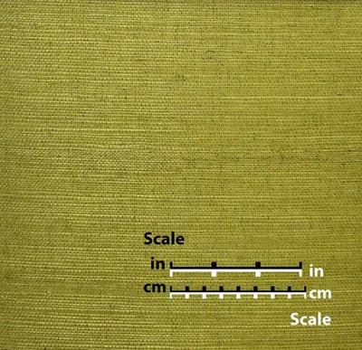 product image for Sisal Wallpaper in Moss Green from the Winds of the Asian Pacific Collection by Burke Decor 78