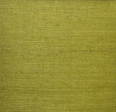 product image for Sisal Wallpaper in Moss Green from the Winds of the Asian Pacific Collection by Burke Decor 77