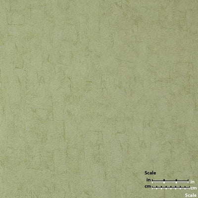 product image for Solid Textured Wallpaper in Pale Green from the Van Gogh Collection by Burke Decor 28