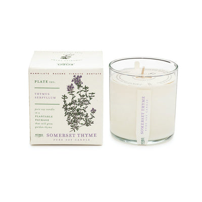 product image of somerset thyme candle 1 536
