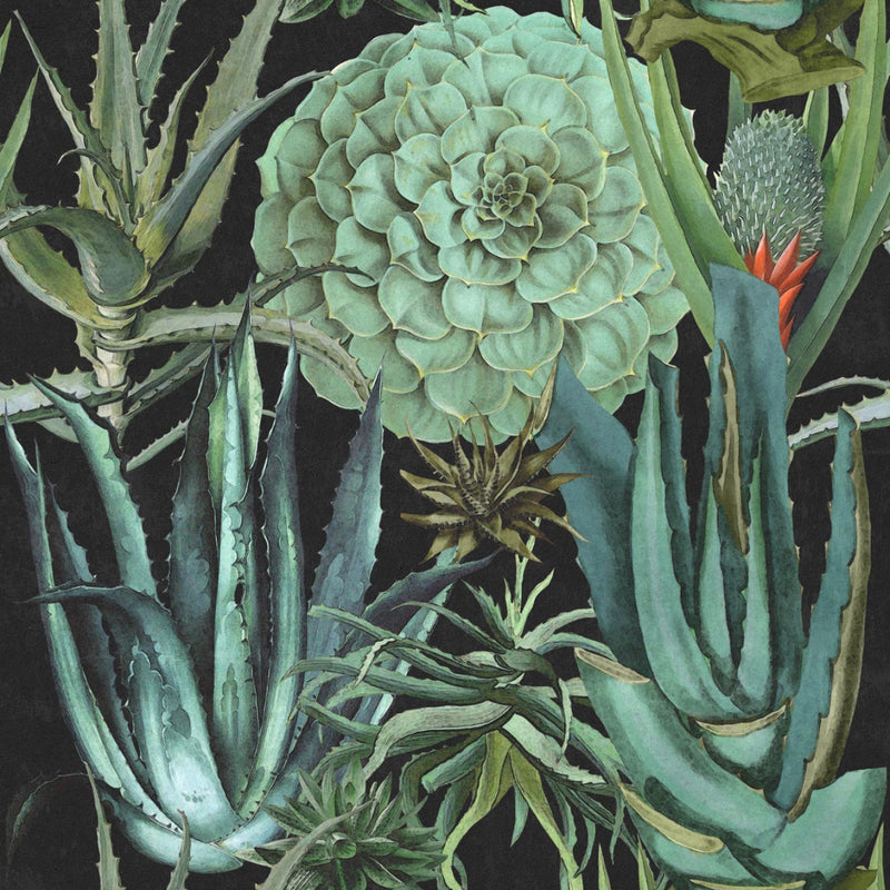 media image for Succulents Wallpaper in Anthracite and Green from the Rediscovered Paradise Collection by Mind the Gap 216