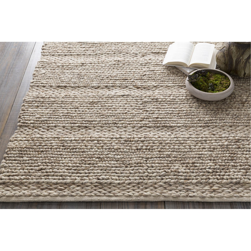 media image for Tahoe TAH-3700 Hand Woven Rug in Cream & Camel by Surya 276