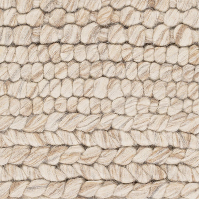 product image for Tahoe TAH-3700 Hand Woven Rug in Cream & Camel by Surya 0