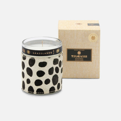 product image for savanna candle 3 85
