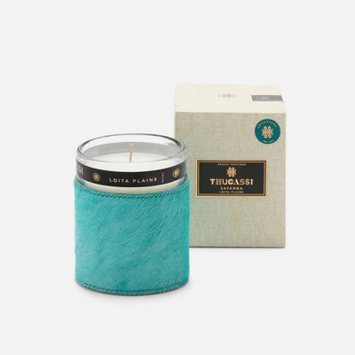 product image for savanna candle 2 84