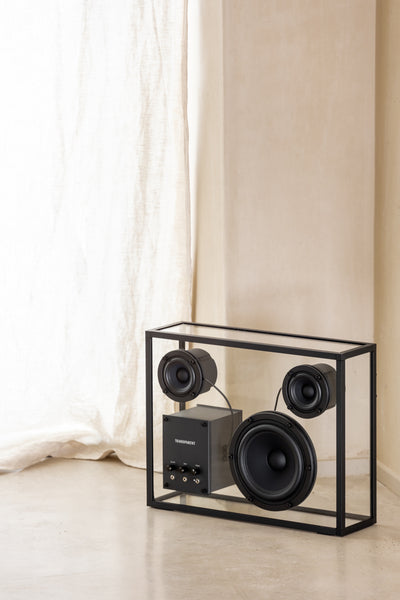 product image for transparent speaker 41 81