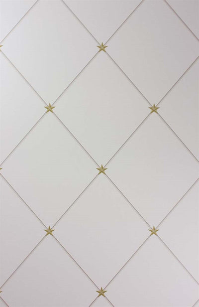 product image for Torosay Wallpaper in Gold and Taupe by Nina Campbell for Osborne & Little 70