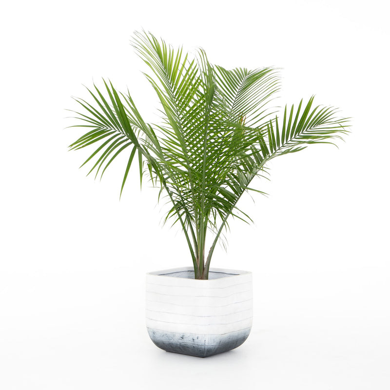 media image for Ingall Square Planter 227