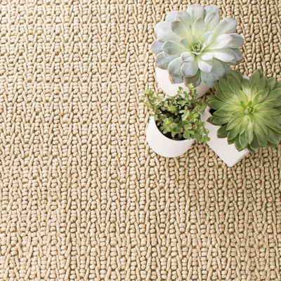 product image for veranda natural indoor outdoor rug by annie selke da554 258 2 20