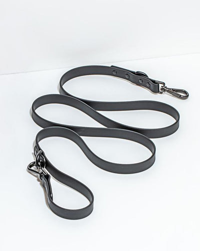 product image for Leash in Various Sizes & Colors 37