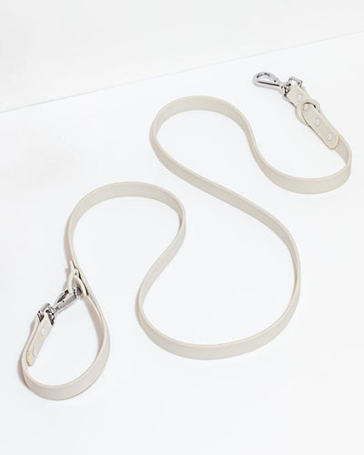 product image for Leash in Various Sizes & Colors 2