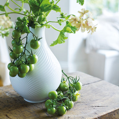 product image for White Folia Bulb Vase 6