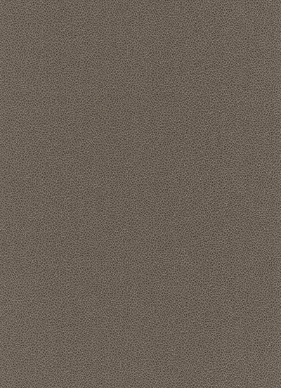 product image of Wildside Wallpaper in Brown design by BD Wall 53