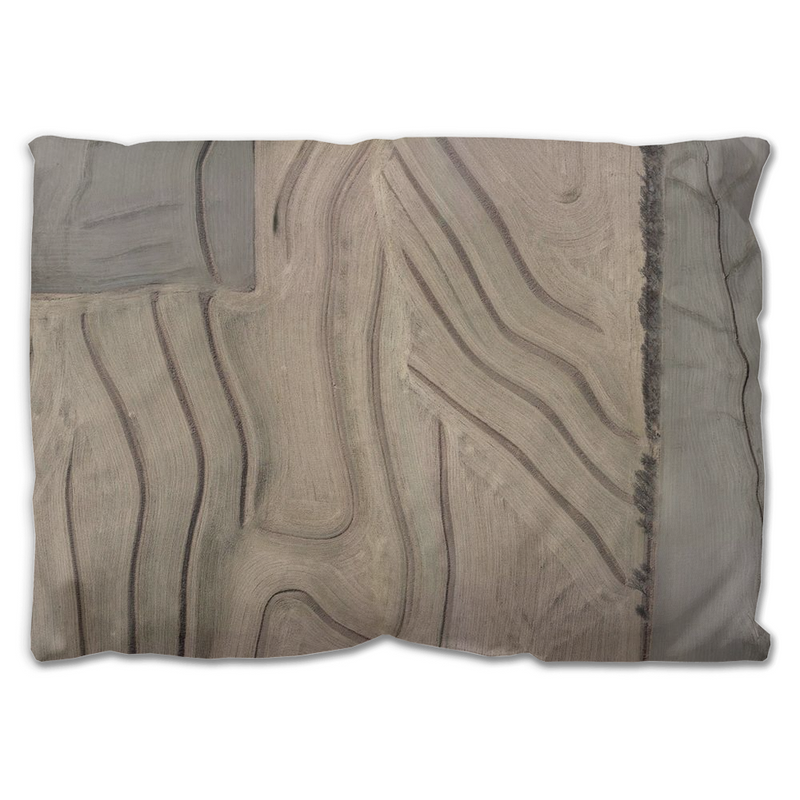 media image for paths throw pillow 10 216