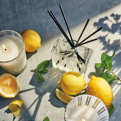 product image for Amalfi Lemon & Mint Reed Diffuser 75