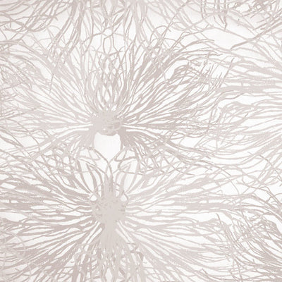 product image of sample anemone wallpaper in alique design by jill malek 1 593