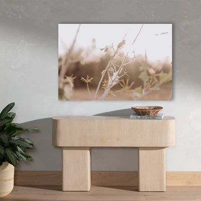 product image for morning light photo print 1 92