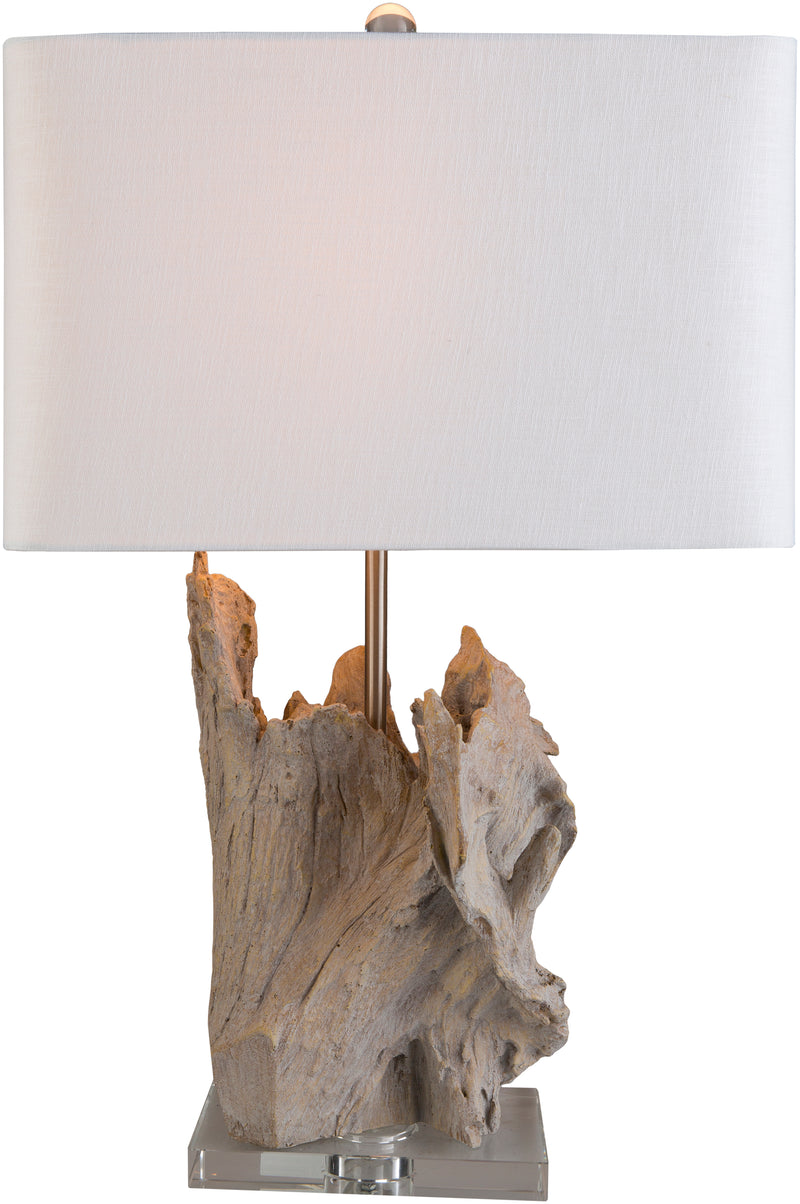 media image for Darby ARY-001 Table Lamp in White by Surya 288