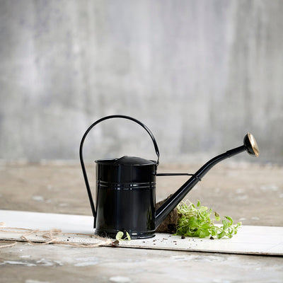 product image for watering can 3 26