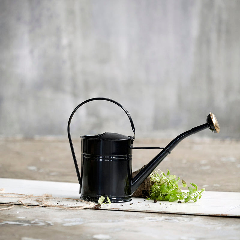 media image for watering can 3 29