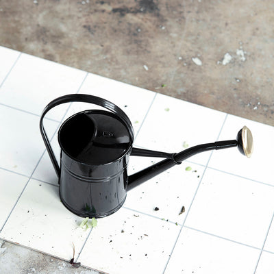 product image for watering can 5 50