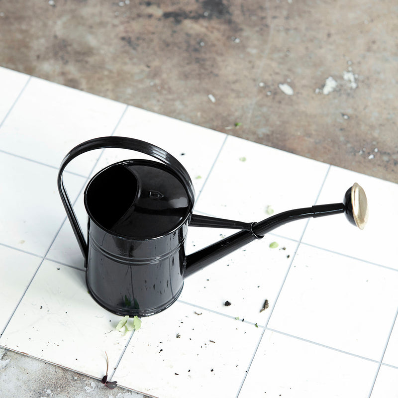 media image for watering can 5 216