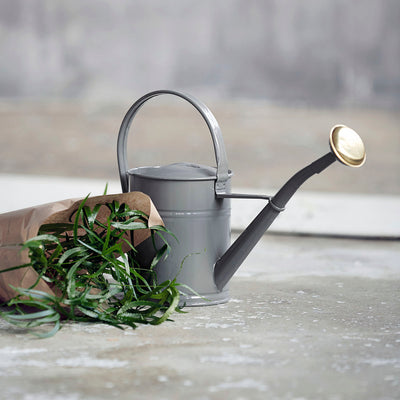 product image for watering can 4 73