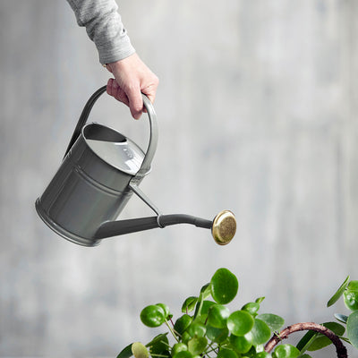 product image for watering can 6 28