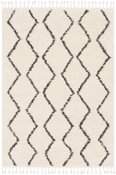 product image for berber shag rug 2303 in charcoal beige by surya 1 81