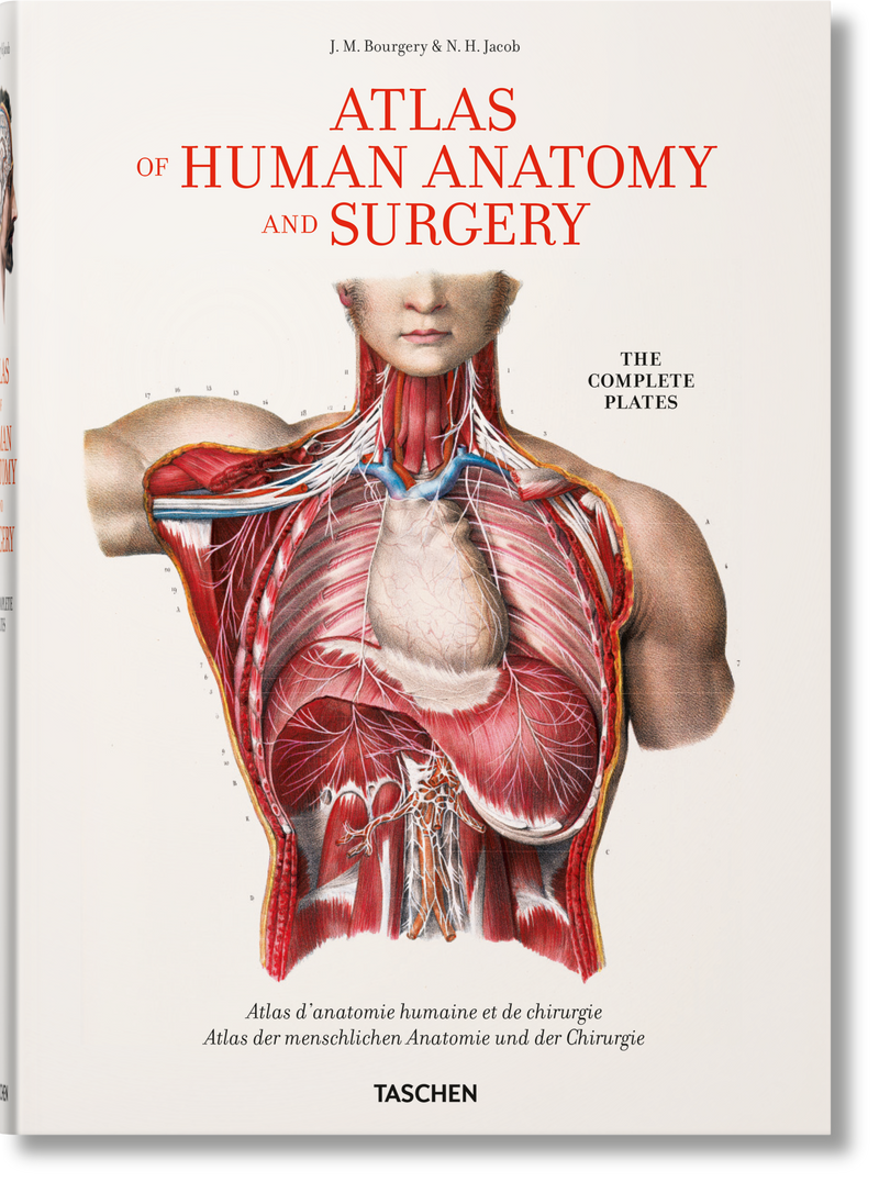 media image for bourgery atlas of human anatomy and surgery 1 258