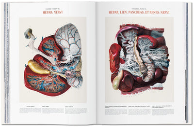 product image for bourgery atlas of human anatomy and surgery 6 87