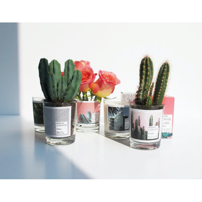 product image for cactus scented candle 3 28