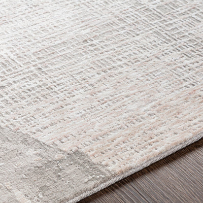 product image for Carmel Light Gray Rug Texture Image 39