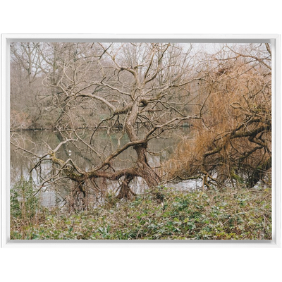product image for tundra framed canvas 10 96