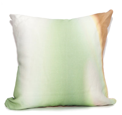 product image for color fields throw pillow by elise flashman 2 60