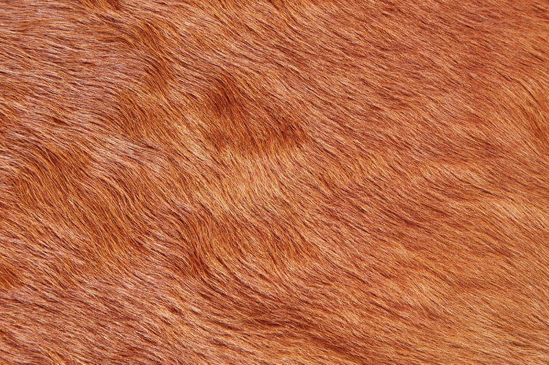 media image for oakdale premium on hair cowhide hand made tawny brown rug by bd fine argrcowhmbn000q01 2 286