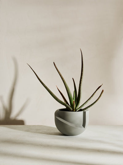 product image of vayu ceramic tabletop planter in stone design by light and ladder 1 55