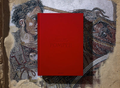 product image for fausto felice niccolini the houses and monuments of pompeii 6 93