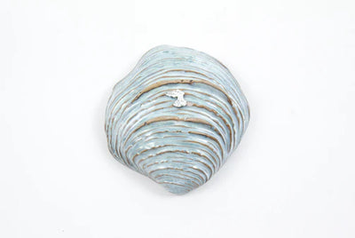 product image of yarnnakarn oceanology shell dish blue glaze small 1 57