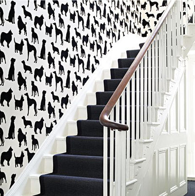 product image for Best In Show Wallpaper in black from the Walk In The Park Collection by Osborne & Little 56